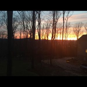 Meet your Posher, Sue